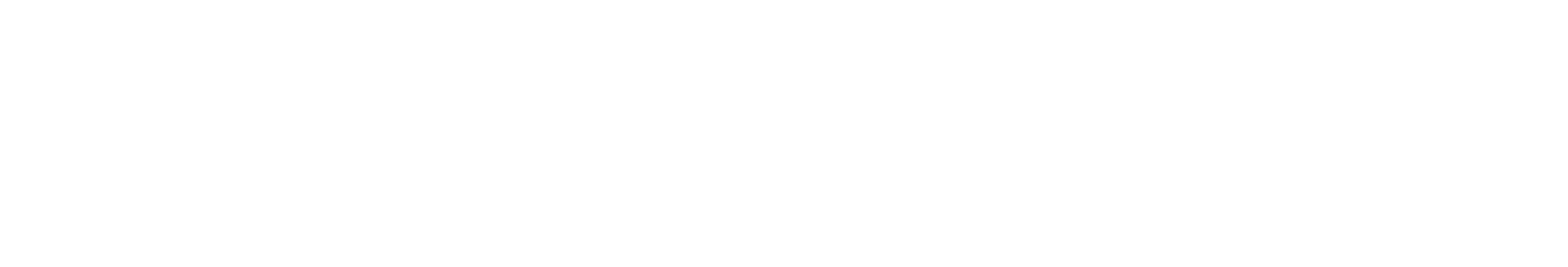 B.Group S.p.A logo